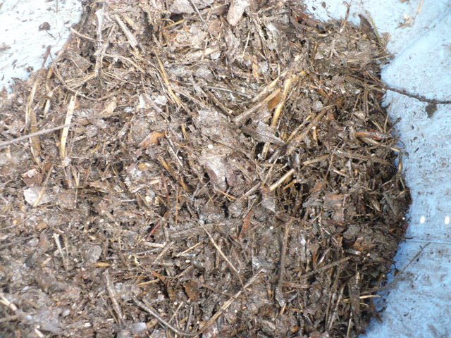 [compost.JPG]