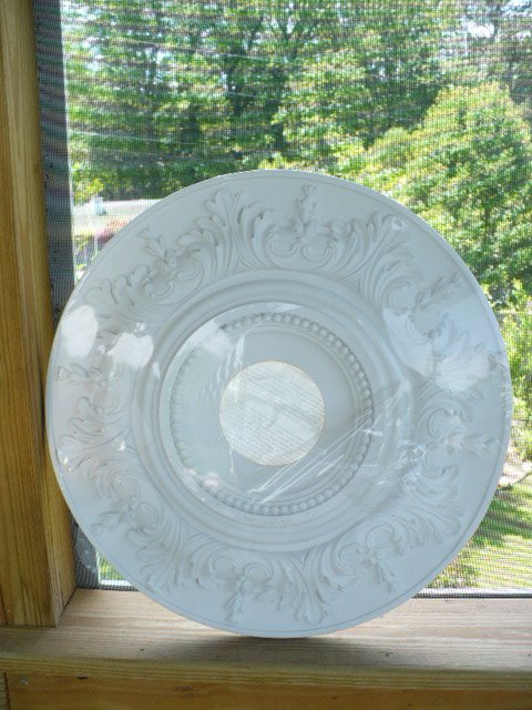 [swanplanter+012.JPG]