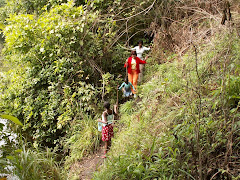 LE SENTIER DU TOUR DU LAC