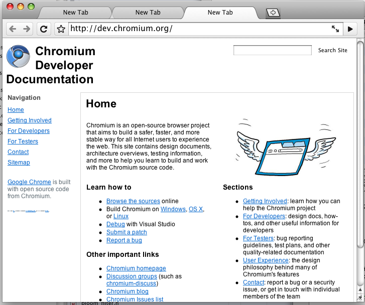 [FirstChromePageEver.png]