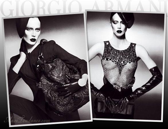 [armani_fall_09a.jpg]