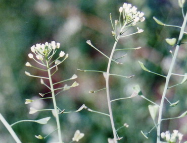 [9tdi00u794laarg01jys.jpg]