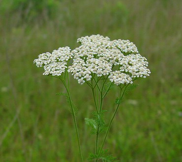 [w3iara5i2rushkg1iigc.jpg]