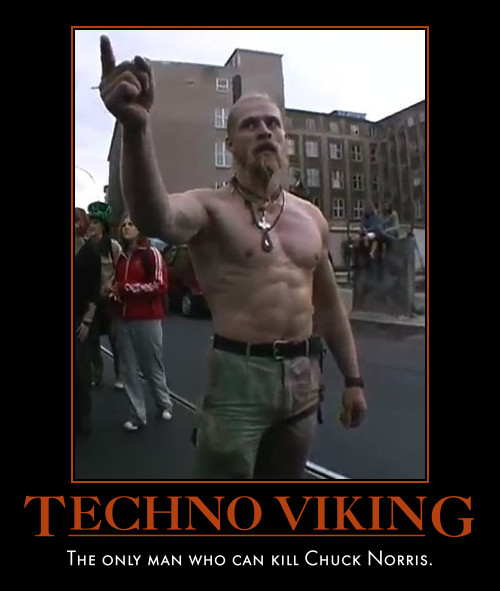 Technoviking