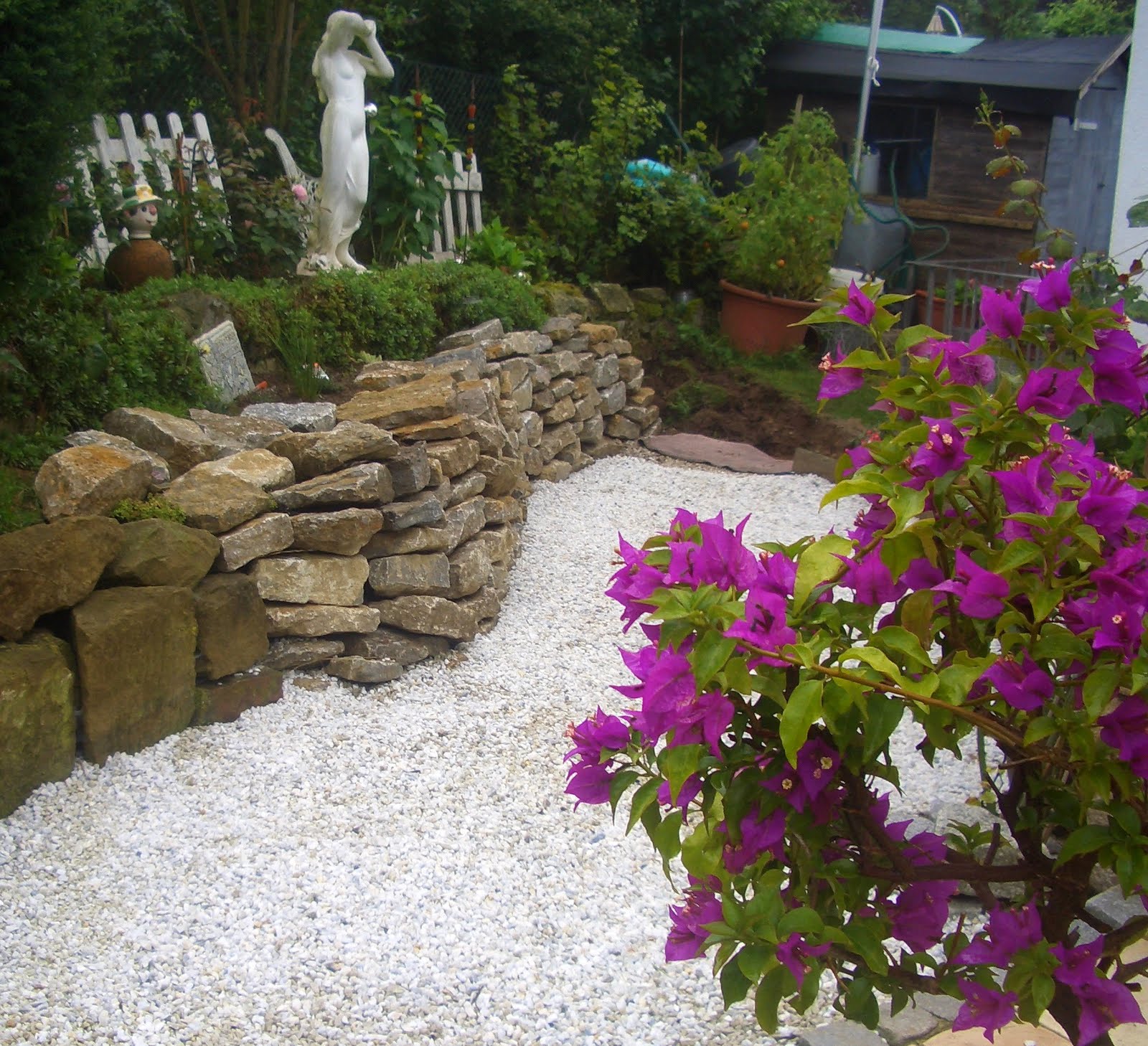 Rosenperle Der Garten