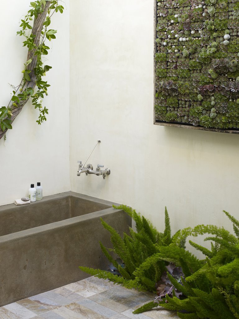 [verticalgardenbath.jpg]