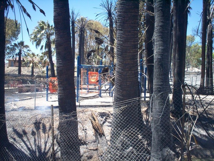 Warm Springs Nevada History History