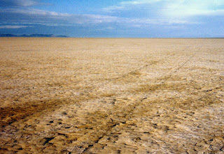 tracks