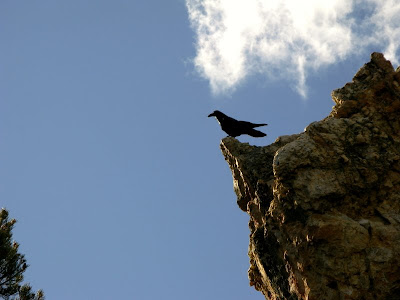 overlook