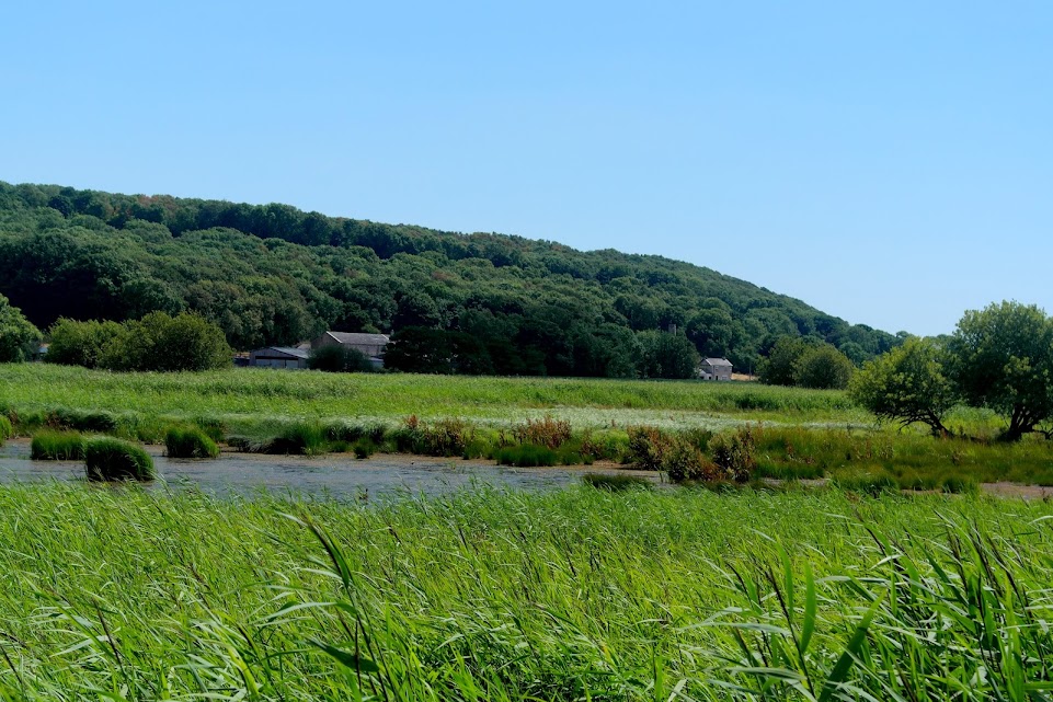 leighton moss rspb leighton moss rspb