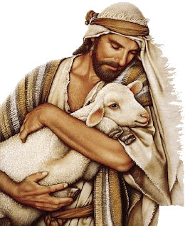gif pastor segurando ovelha