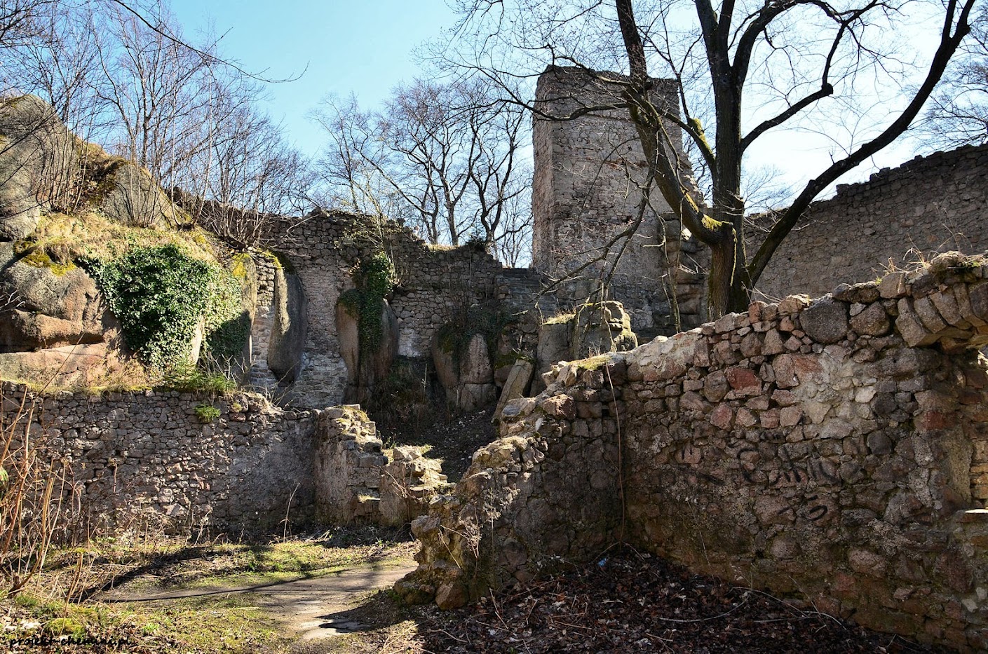 Zamek Bolczów w Janowicach Wielkich