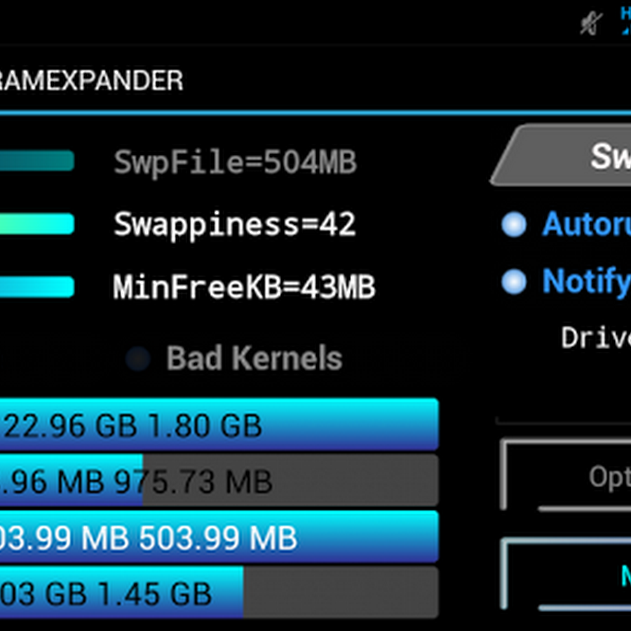 Roehsoft Ram Expander v3.35 Apk Free - Swap Ram Tools