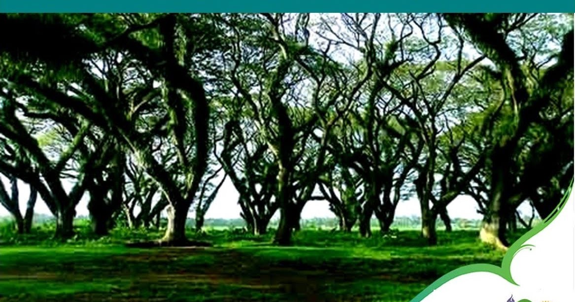 Jawatan Benculuk Tera Tour And Travel