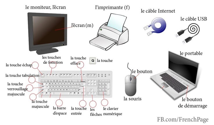 Français CARLEE Vocabulaire technique lexique de l'informatique