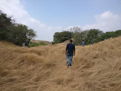 Trekkers walking through high, thick grasslands near the summit of Huthridurga fort