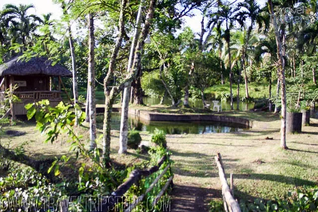 lago fishing village