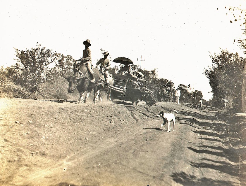 Image credit: University of Michigan Digital Collections. Image credit: University of Michigan Digital Collections.