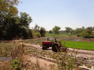 The peaceful, fresh air scene of fields near Pandavapura
