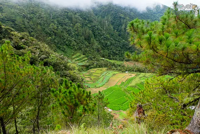 mount pulag